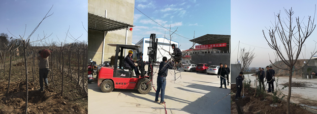 寶雞捷銳“迎春風(fēng)，綠家園”植樹節(jié)(圖2)